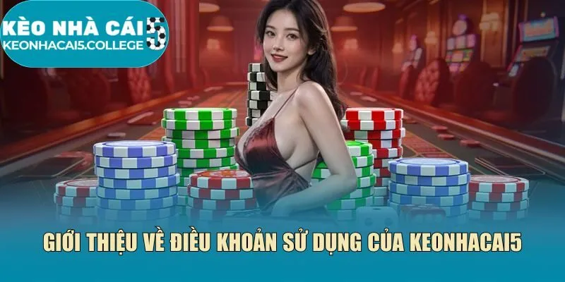 Giới thiệu về điều khoản sử dụng của Keonhacai5