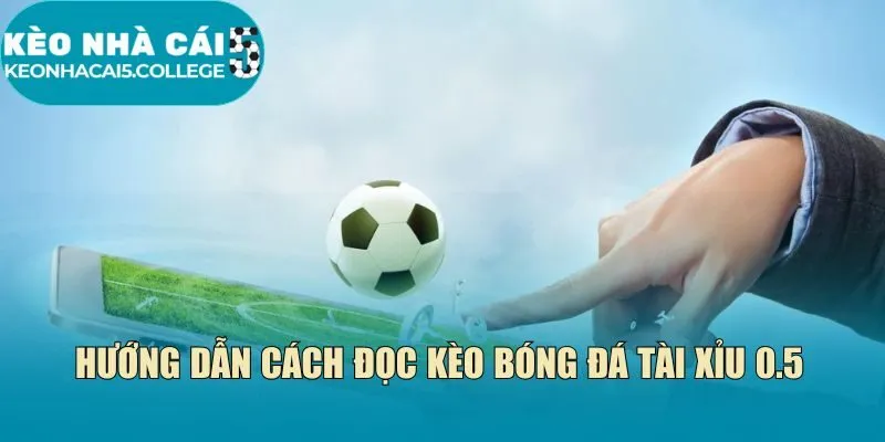 Hướng dẫn cách đọc kèo bóng đá Tài Xỉu 0.5