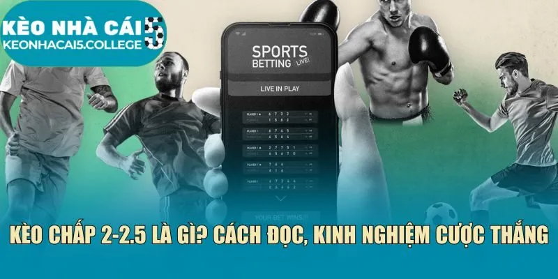 kèo chấp 2-2.5 là gì